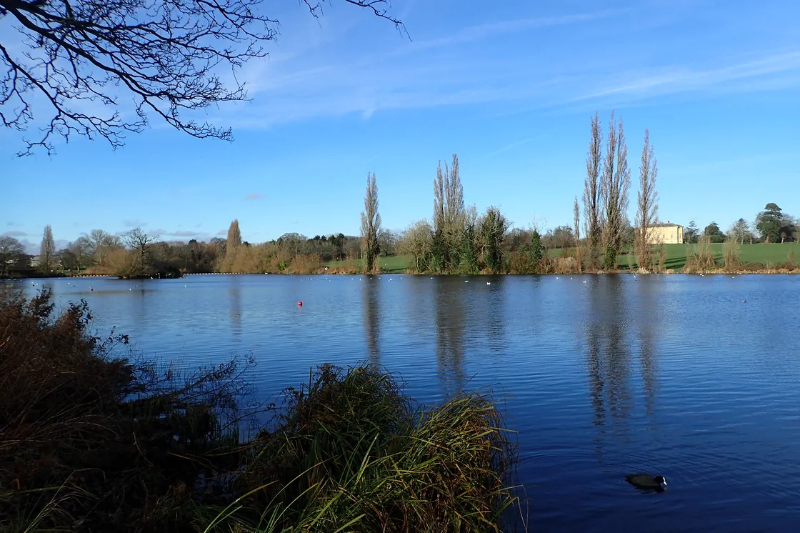 Danson Park lake and trees, Bexleyheath