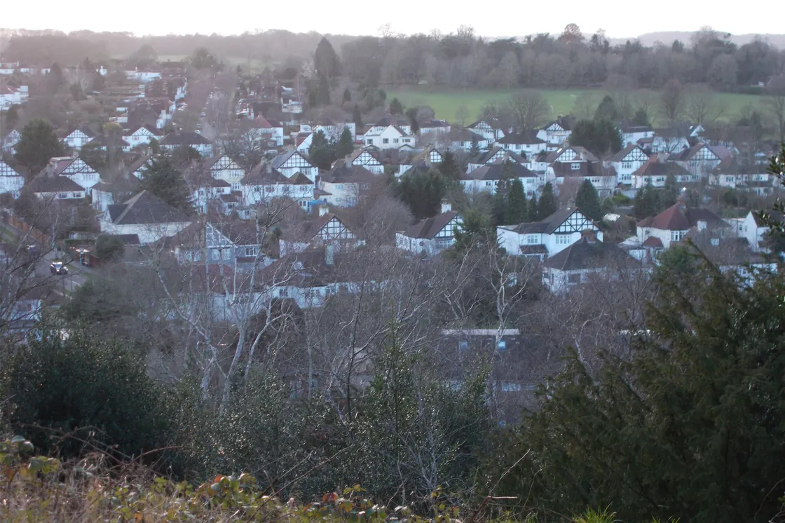 The rooftops of Coney Hall from West Wickham Common