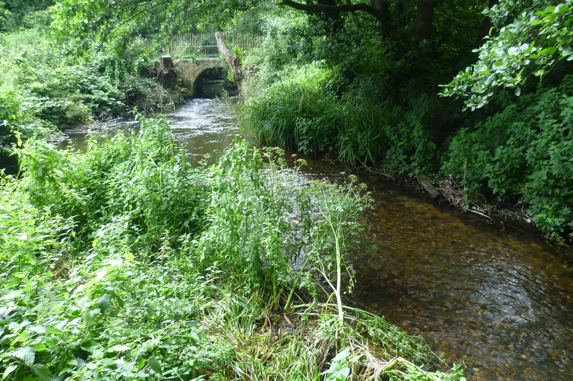 The River Darent near Dunton Green