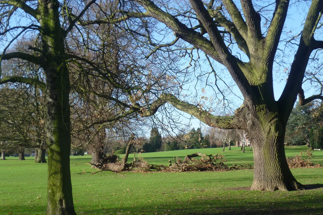 Avery Hill Park, New Eltham