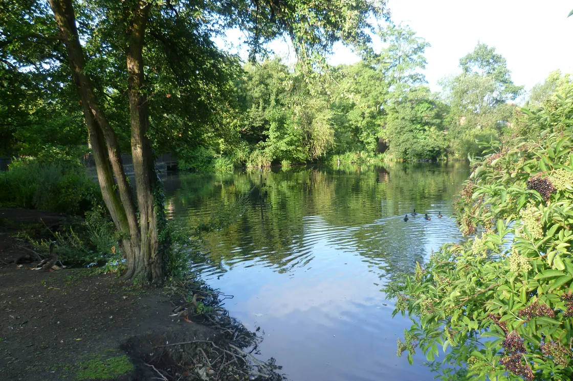 The lake at Priory Gardens, Orpington
