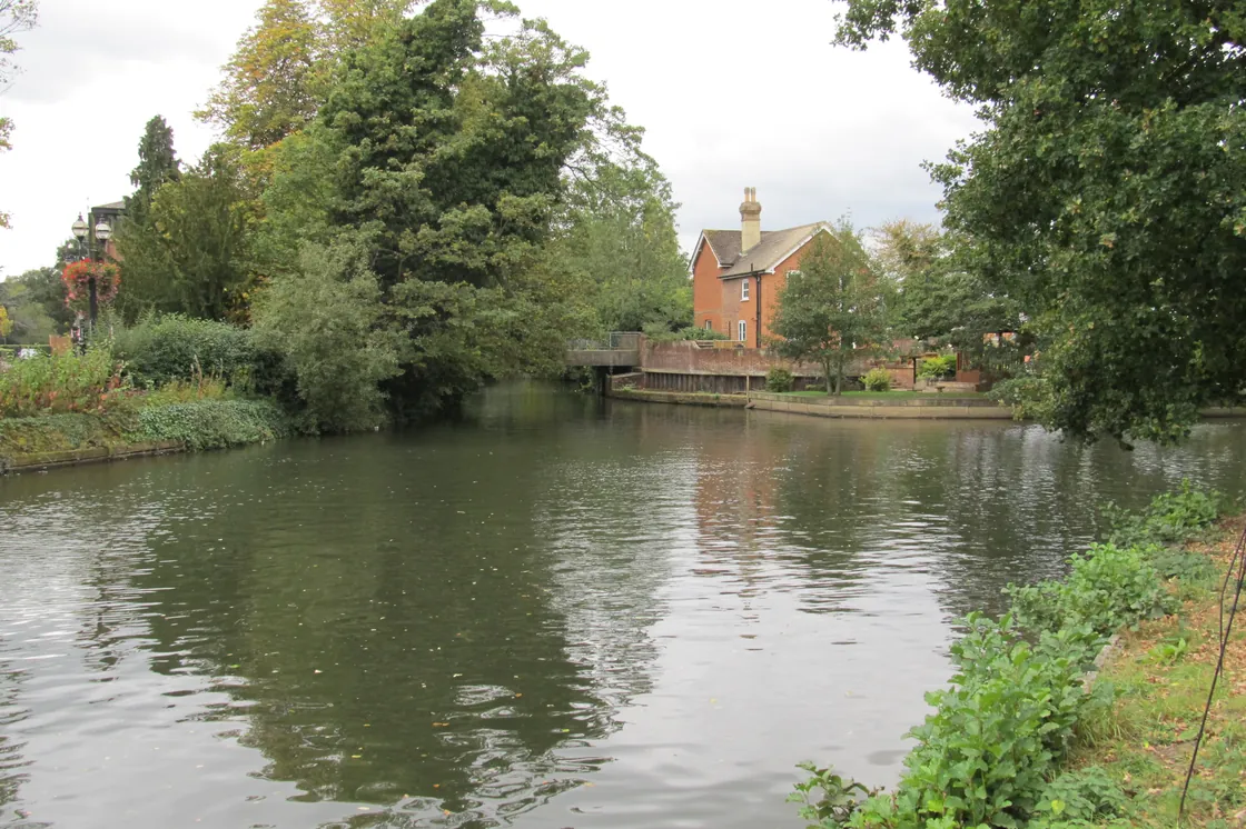 The River Medway at Tonbridge