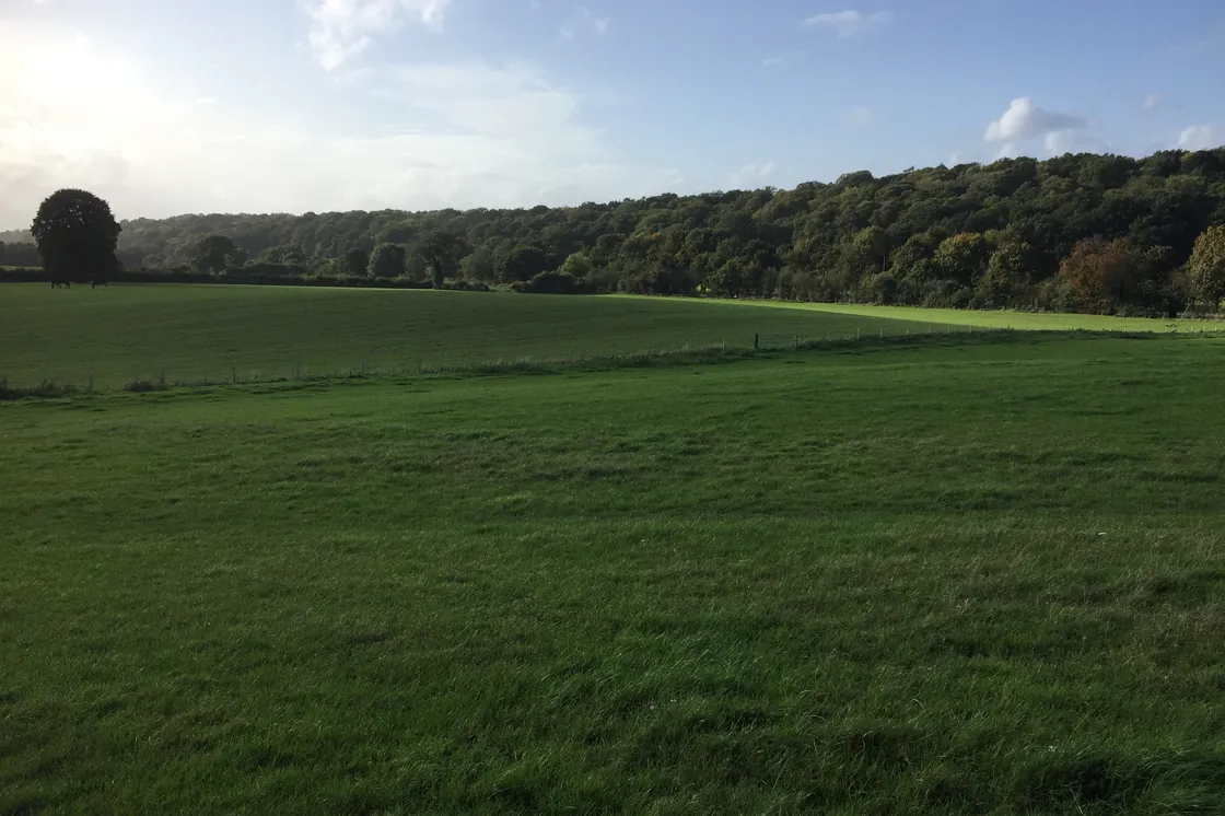 Green fields at Wickham Court Farm, West Wickham